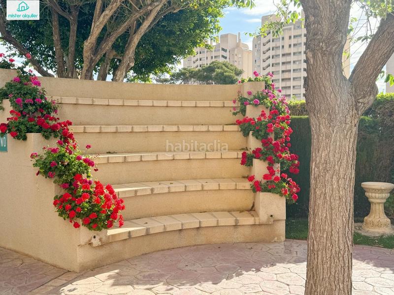 Foto b19cfc7e-6ce6-4132-9391-bb9384dc8e94. Alquiler apartamento en calle magraner en Playa Muchavista Campello (el)