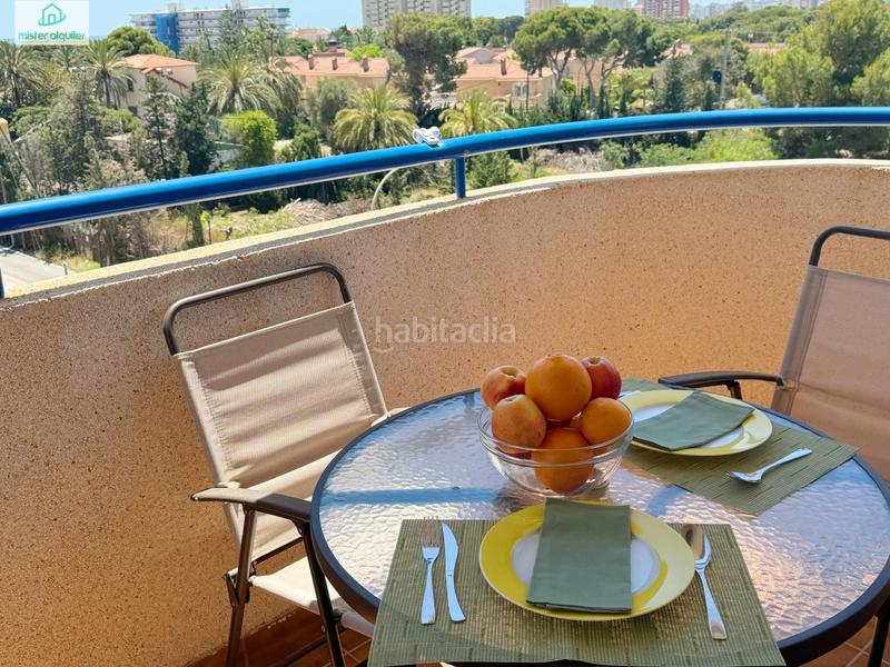 Foto d6d26af4-dcd6-4f6b-97f9-c8b81d8e2865. Alquiler apartamento en calle magraner en Playa Muchavista Campello (el)