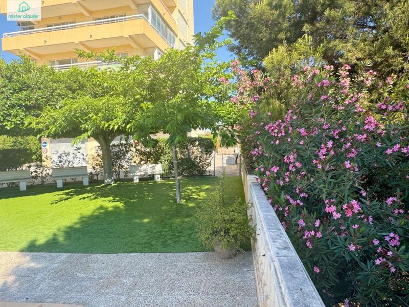 Foto 2a024871-ecd1-4f26-a4ed-cdce70feb551. Location appartement dans calle sant bartolomeu 119 dans Campello (el)