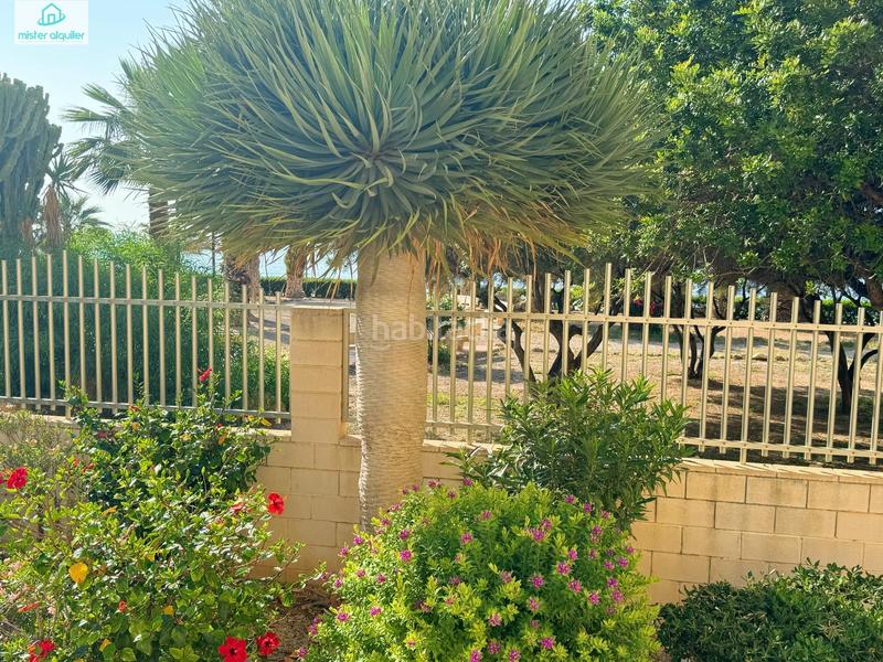 Foto f8ce4ac3-d14a-4d87-8143-36e867a699d0. Location appartement dans jaume i el conqueridor 9 dans Campello (el)