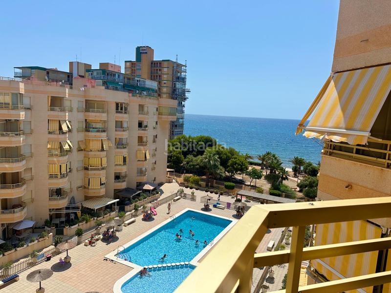 Foto 1dd73376-42ba-48fd-b066-6a80a3d33d0d. Affitto piccolo appartamento in jaume i el conqueridor 9 in Campello (el)