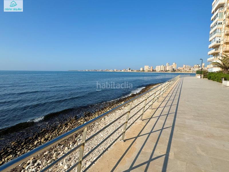 Foto abaaaebf-5a35-4758-ad7a-59b48018a149. Affitto piccolo appartamento in jaume i el conqueridor 9 in Campello (el)