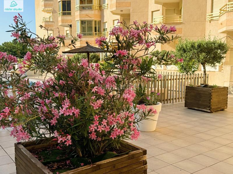 Foto 4a5dd8d3-3499-4445-99d2-295c06447ae2. Location appartement dans jaume i el conqueridor 9 dans Campello (el)