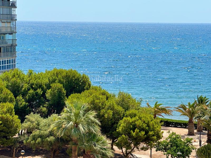 Foto c7e01f66-e3b9-488b-945f-132247abc9b6. Location appartement dans jaume i el conqueridor 9 dans Campello (el)