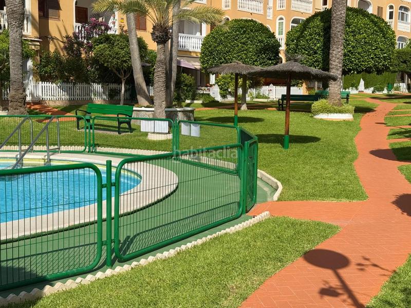 Foto 33cd48d4-6c53-4db9-b8ff-f4132952f6ff. Alquiler apartamento en sant bartolomeu 111 amplio apartamento junto al mar en el campello, en urbanización con piscina y todas las comodidades en Campello (el)