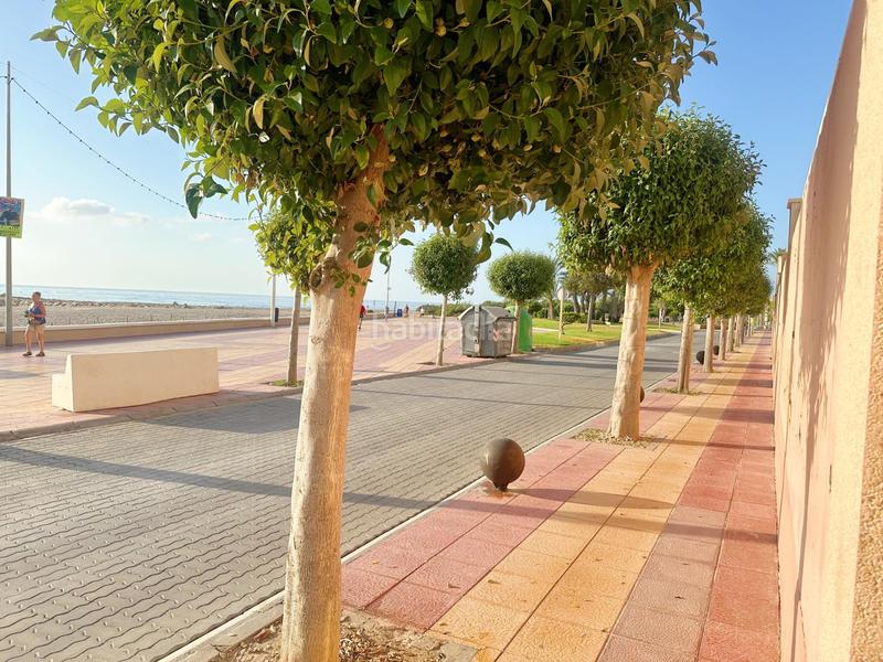Foto e3d38846-5e0e-4ad5-9dcb-3d782e4b1c7b. Location appartement dans calle sant vicent 109 dans Campello (el)