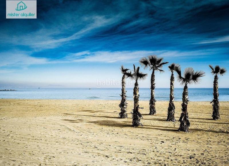 Foto 0c1b78f3-ea8a-443c-bcaf-1754551285d4. Miete appartement in calle sant vicent 109 in Campello Playa Campello (el)
