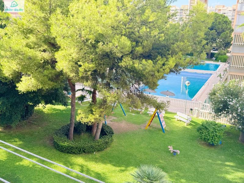 Foto 024f1139-4786-43b3-8c6d-0d1f9ba54652. Miete appartement in avenida cataluña 14 in Playa de San Juan Alicante