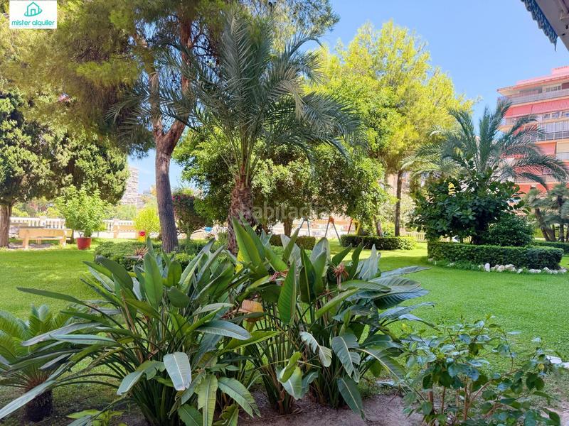 Foto 251b0178-bef0-48d3-98b2-b90800250dbf. Miete appartement in avenida cataluña 14 in Playa de San Juan Alicante