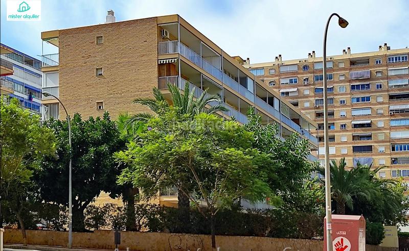 Foto 124603ad-d1f7-4614-b3a0-9c4571270847. Rent apartment in avenida cataluña 14 in Playa de San Juan Alicante