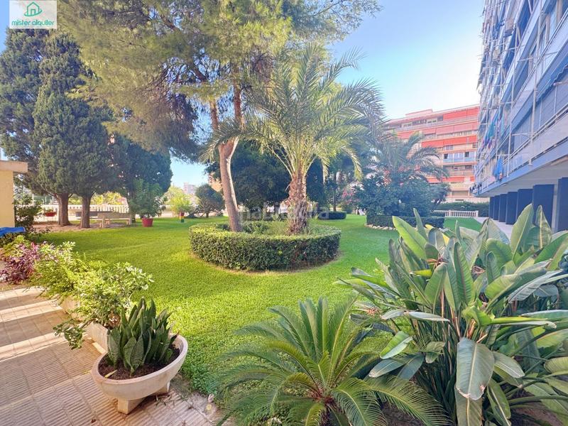 Foto 4527a723-ad87-456c-8d76-7813e7a77ff0. Rent apartment in avenida cataluña 14 in Playa de San Juan Alicante