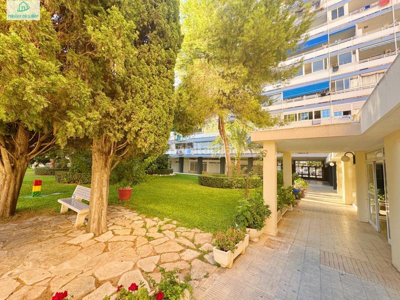 Foto d8d82930-5746-42ca-84bc-b99dc795eeae. Rent apartment in avenida cataluña 14 in Playa de San Juan Alicante