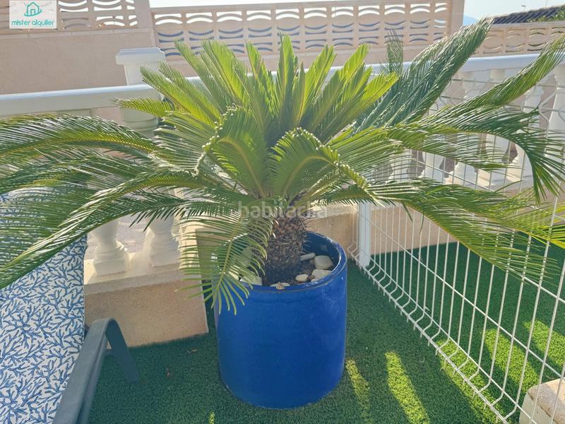 Foto 653026d0-33aa-432e-a805-65686ca881e9. Alquiler chalet en calle río miño 35 halet de lujo en alquiler internacional sol, espacio y privacidad cerca de alicante en Castalla