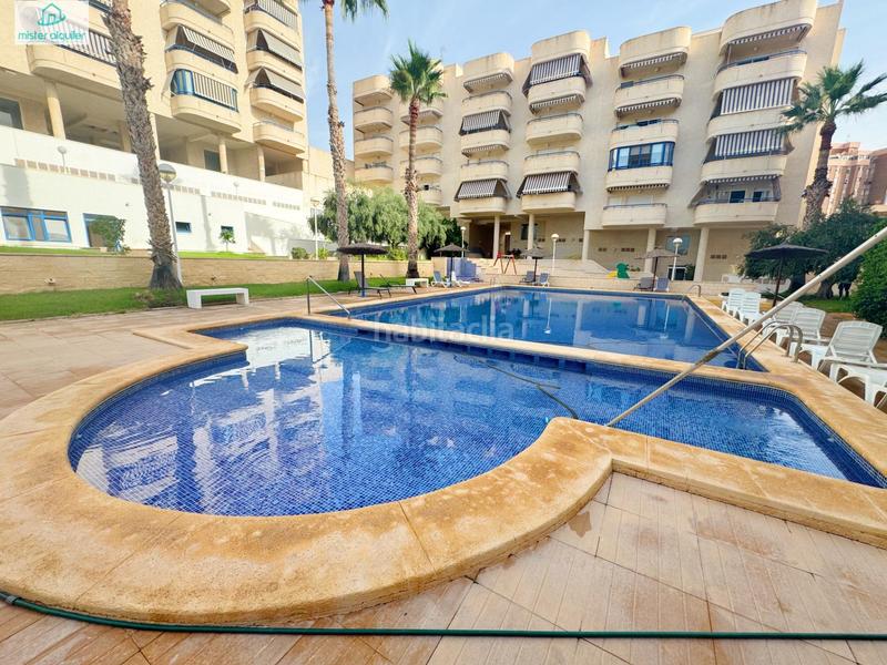 Foto a667e779-d608-48e0-bd04-0280fc5d8e0d. Affitto piccolo appartamento in avenida ausias march 1 in Campello (el)
