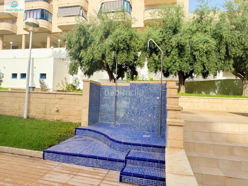 Foto 392d5d41-1dce-4e52-acdf-6c08c724cea4. Miete appartement in avenida ausias march 1 in Campello Playa Campello (el)
