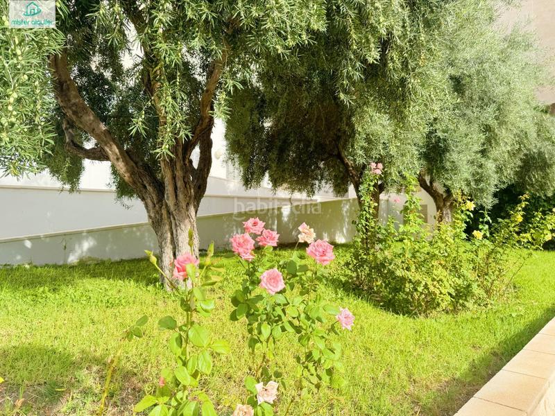 Foto c8cc95af-794c-414b-8477-11afddd2d44f. Rent apartment in avenida ausias march 1 in Campello Playa Campello (el)