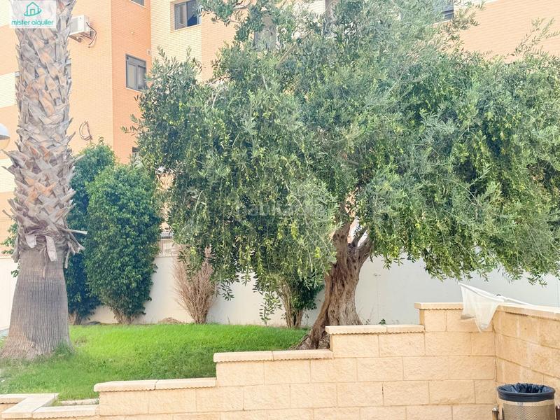 Foto cbb935cf-d8b0-444c-b735-e0ed042fec97. Rent apartment in avenida ausias march 1 in Campello Playa Campello (el)