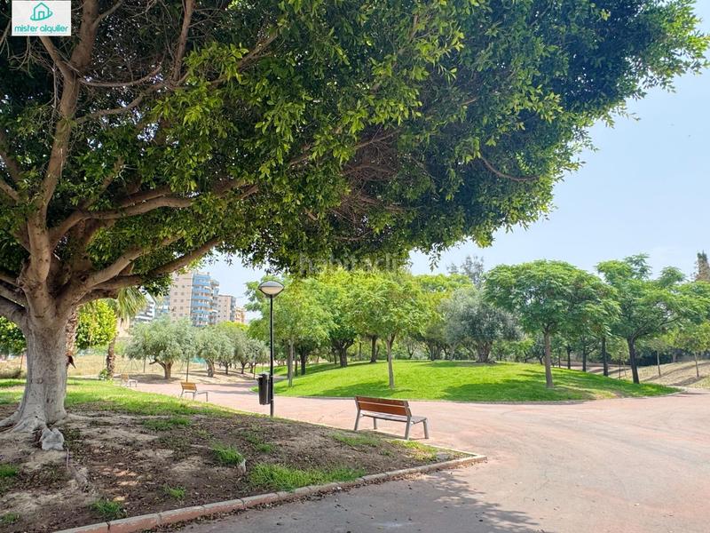 Foto ea78357c-ddd6-442f-a302-6457e8dfe2a0. Affitto piccolo appartamento in calle de alcoy 30 in Campello (el)