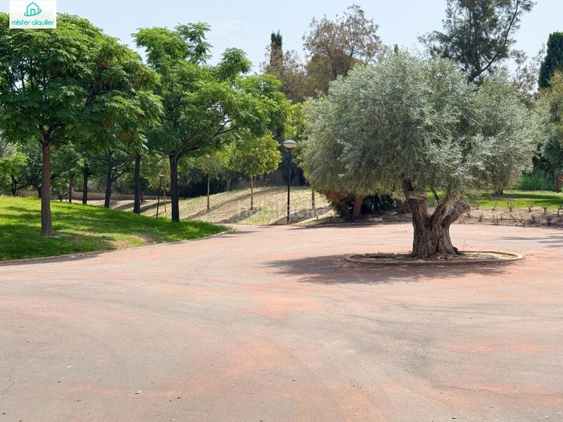 Foto e646c28b-38c1-4ecf-9294-40a694396f0a. Rent apartment in calle de alcoy 30 in Campello Playa Campello (el)