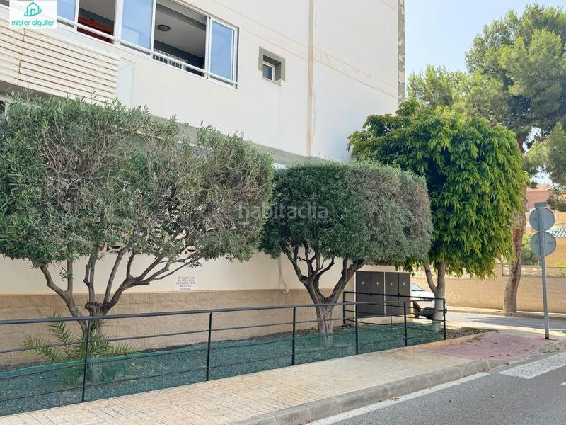 Foto f98e061a-5e80-4ac4-820d-528a1020e75d. Rent apartment in calle de alcoy 30 in Campello Playa Campello (el)