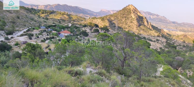 Foto 79f514f6-f376-45b0-a144-16afe890ef0a. Masia a sector 4 1 a Xixona