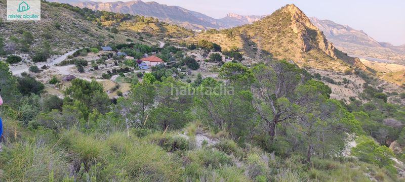 Foto 97603c8a-7b6f-4ea3-b091-733b17eabd47. Masia a sector 4 1 a Xixona