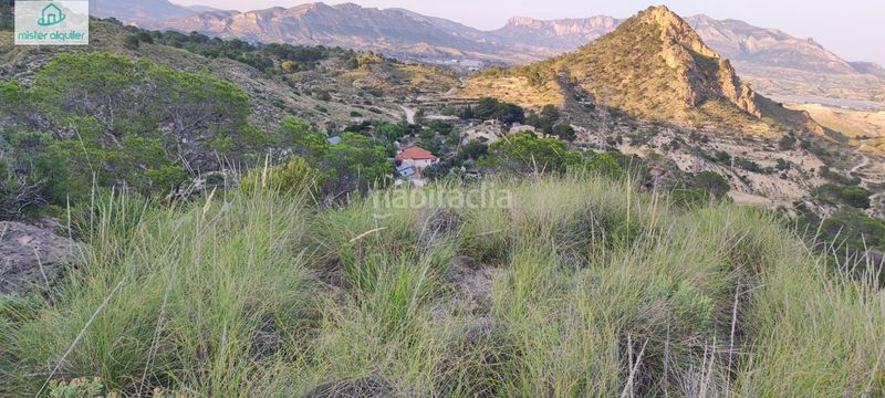 Foto d2cbe897-19d3-49da-a8be-403dd6b8f377. Masia a sector 4 1 a Xixona