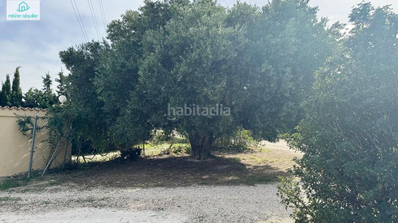 Foto e2d929d2-faad-4e36-82d7-f61efae11013. Masia a sector 4 1 a Xixona