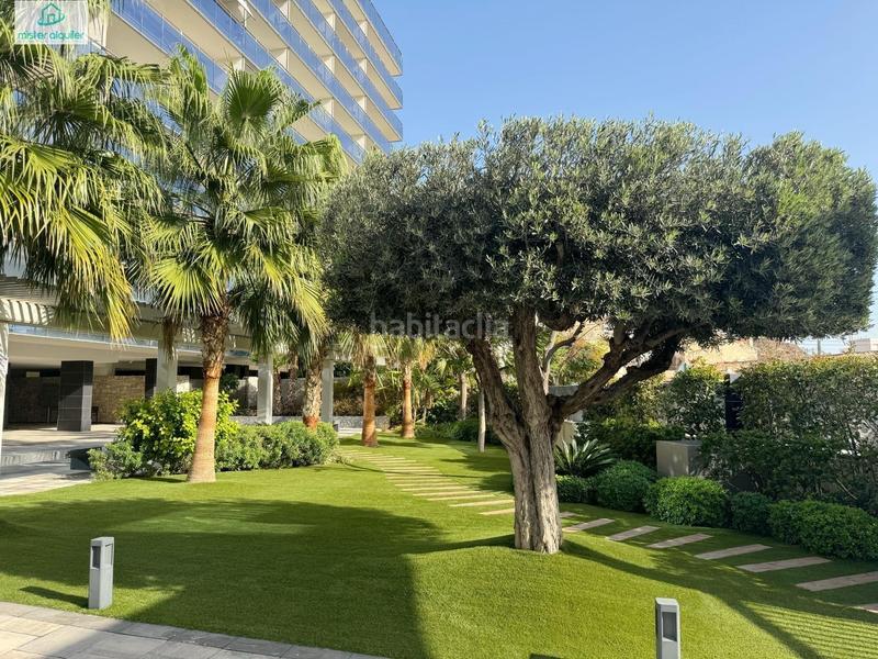 Foto 0203a551-56b8-4bc7-8be3-74749082ab20. Lloguer apartament a mar alta 10 a Campello Playa Campello (el)