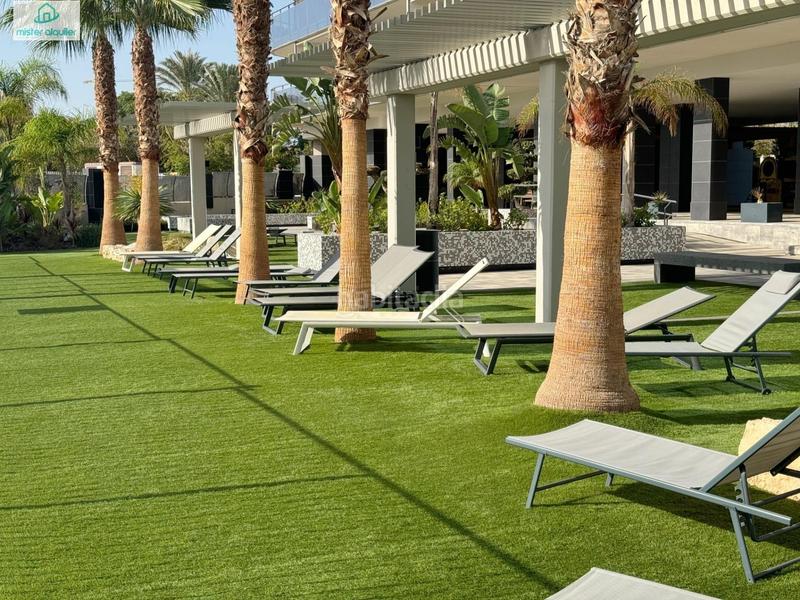 Foto 0b547b89-50b7-4a99-a758-91a213859e5a. Lloguer apartament a mar alta 10 a Campello Playa Campello (el)