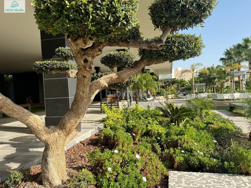 Foto 1128e583-9922-4834-8439-dedf29afba1b. Lloguer apartament a mar alta 10 a Campello Playa Campello (el)