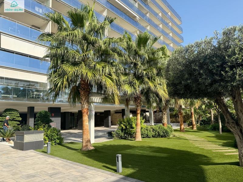 Foto 2571ea6c-a952-4900-a9d0-4020cd36dc61. Lloguer apartament a mar alta 10 a Campello Playa Campello (el)