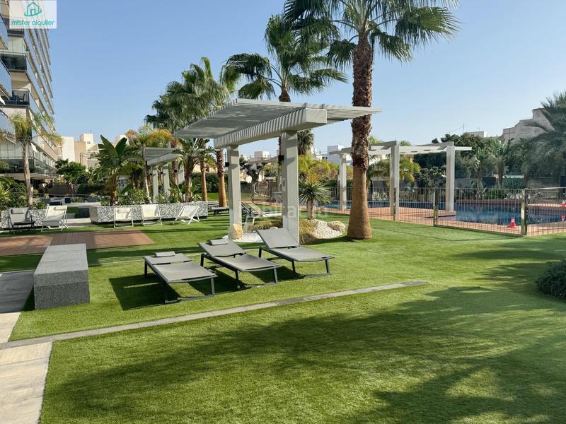 Foto ef47ece8-7130-4369-b148-0d9871ed7cc7. Lloguer apartament a mar alta 10 a Campello Playa Campello (el)