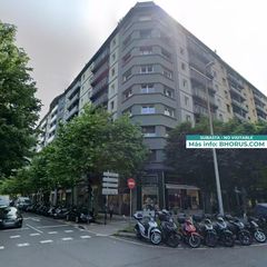 Pis  Eustasio amilibia 9