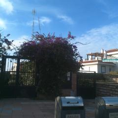 Pis a Almendro 4