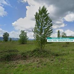 Residential Plot in Pangusion 9