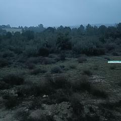 Terreno residencial en 516 parcela 19