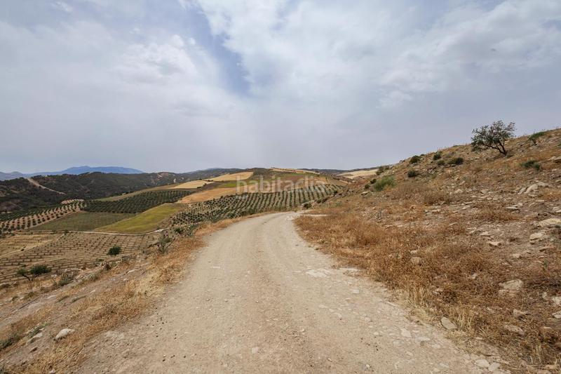 Foto 0acb97af-86bc-4ce0-9f5a-8a5d6f88e195. Terrain résidentiel dans Ardales