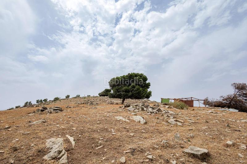 Foto 0efb7d30-b91f-4cbb-b4ca-9e61613183af. Terrain résidentiel dans Ardales