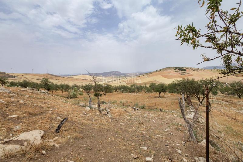 Foto 1fde8123-68a2-47f3-88a2-abbe4c2a8107. Terrain résidentiel dans Ardales