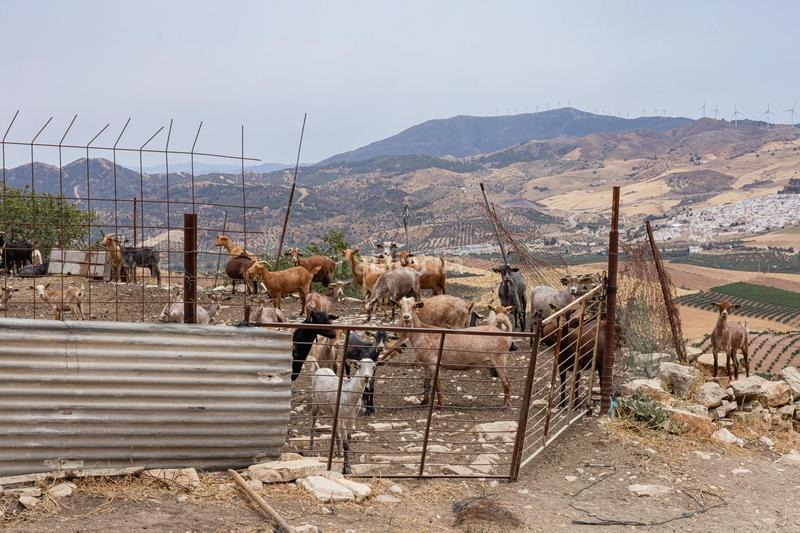 Foto 30ff9172-785f-443d-b41c-2cf3032dacd1. Terrain résidentiel dans Ardales