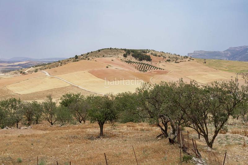 Foto 3398b719-d26f-4461-ac33-2b9b3698ad7b. Terrain résidentiel dans Ardales