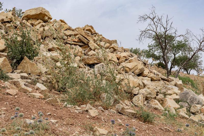 Foto 426c886c-6362-4b8d-b90f-0cfe2c2fe1a7. Terrain résidentiel dans Ardales