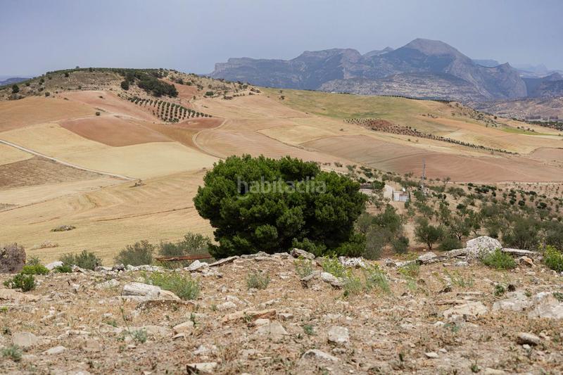 Foto 42b0eb95-ff6d-430c-b1ac-ced52e72fff1. Terrain résidentiel dans Ardales