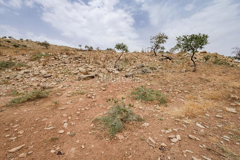 Foto 55aced9d-f874-406b-b799-ec22988e72f2. Terrain résidentiel dans Ardales