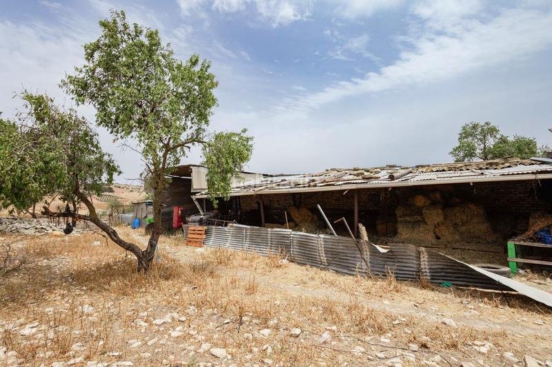 Foto 605ab530-ba90-4d07-a9d7-92711843bcb2. Terrain résidentiel dans Ardales