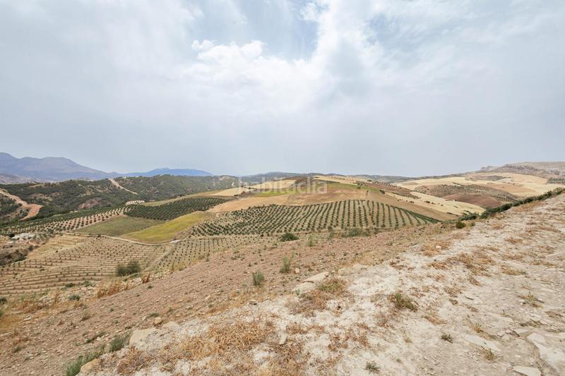 Foto 6a69368c-df52-4efd-9838-55c523d83040. Terrain résidentiel dans Ardales