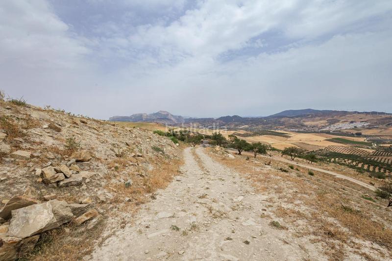 Foto 7a617c23-0414-4f8a-844d-c0cef92c0a38. Terrain résidentiel dans Ardales