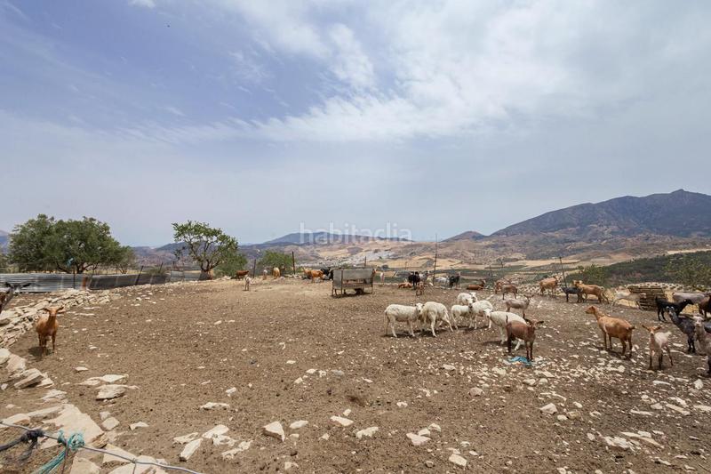 Foto 7dca00eb-5364-4f4b-8e38-63fd154a1d12. Terrain résidentiel dans Ardales