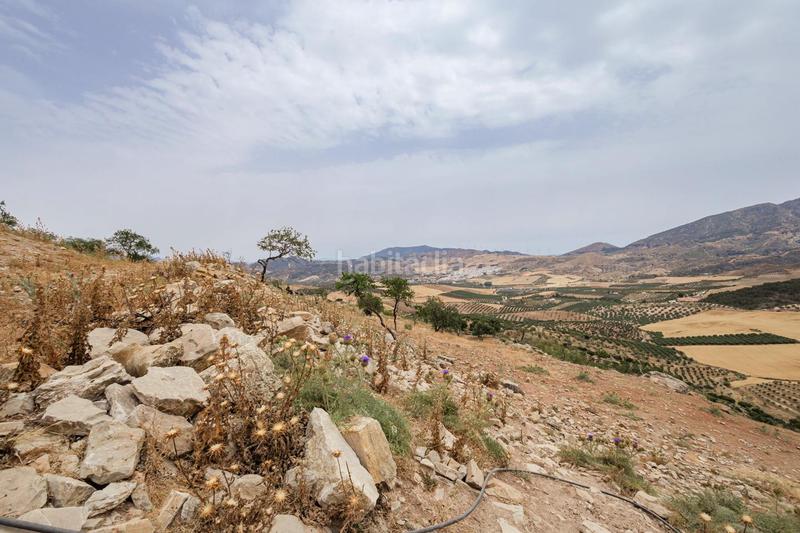 Foto 7ecc1851-7bde-4d0e-b90d-2e0525f01f46. Terrain résidentiel dans Ardales